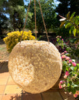 Coconut Pendant in Sea Shells