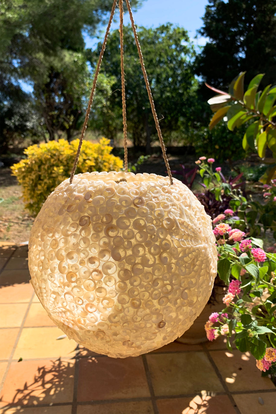 Coconut Pendant in Sea Shells