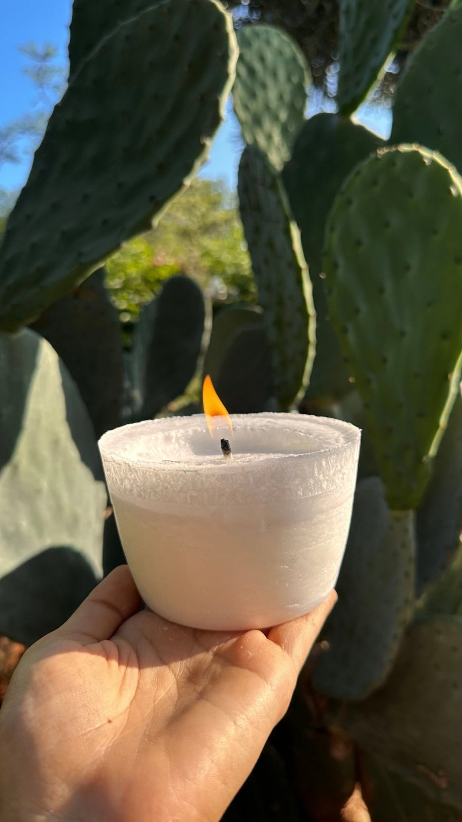 Recambio de Vaso Mediano - Elite Candles