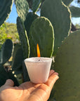 Recambio de Vaso Nro 6 - Elite Candles