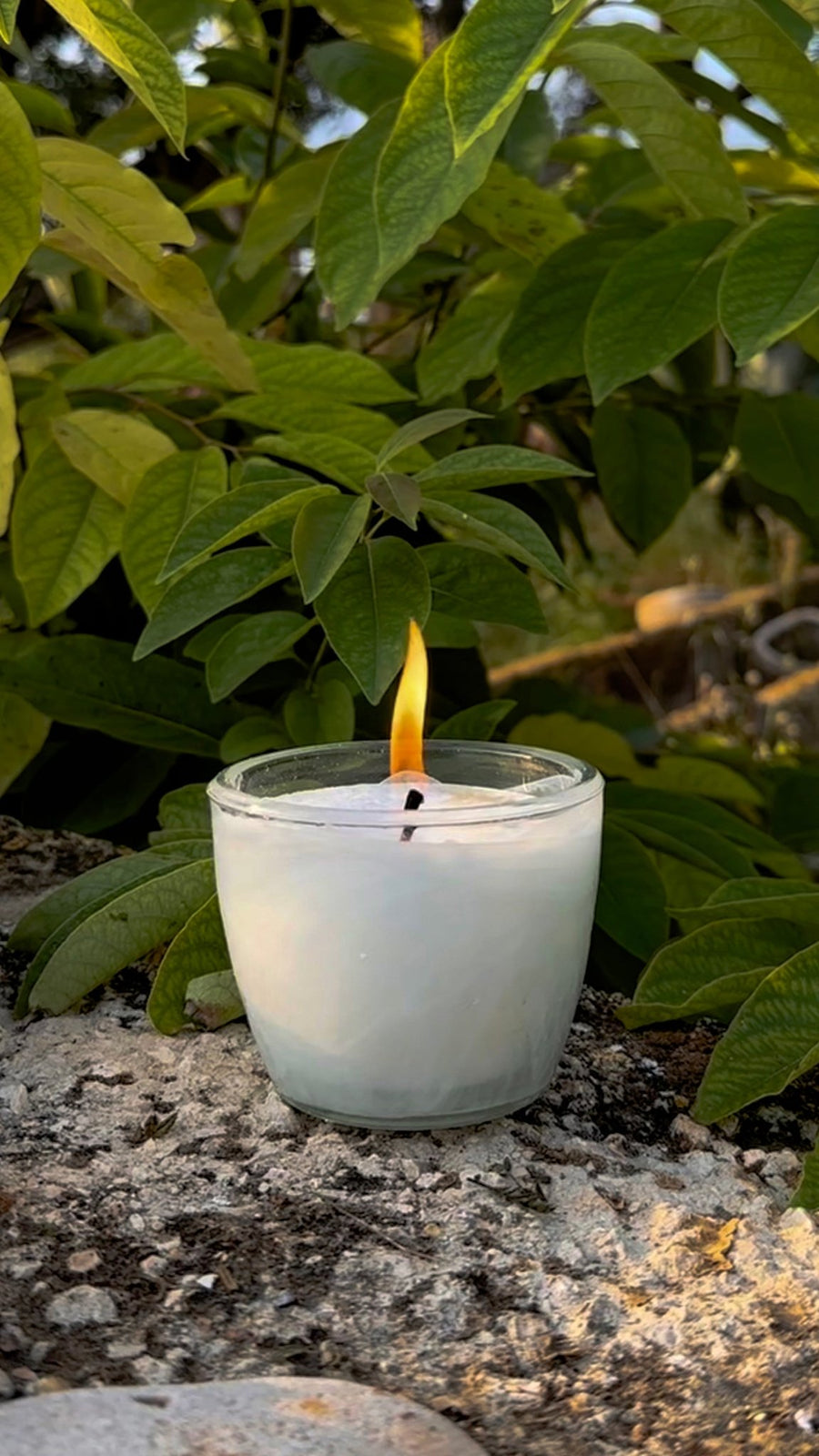 Vela en Vaso de Cristal Reciclado ( Mini ) - Elite Candles